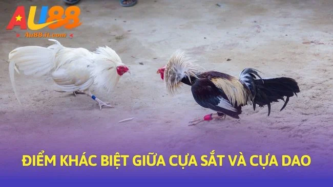 Điểm mặt các lỗi sai tân thủ hay gặp
