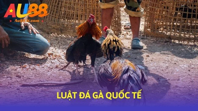 Luật Chơi Baccarat - Cheat Sheet Rút Lá Bài Thứ 3 Dễ Nhớ